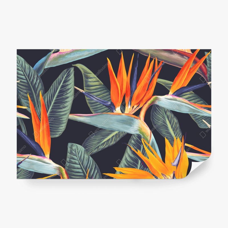 Fototapete neblige blaue berggipfel – Wallnifity®