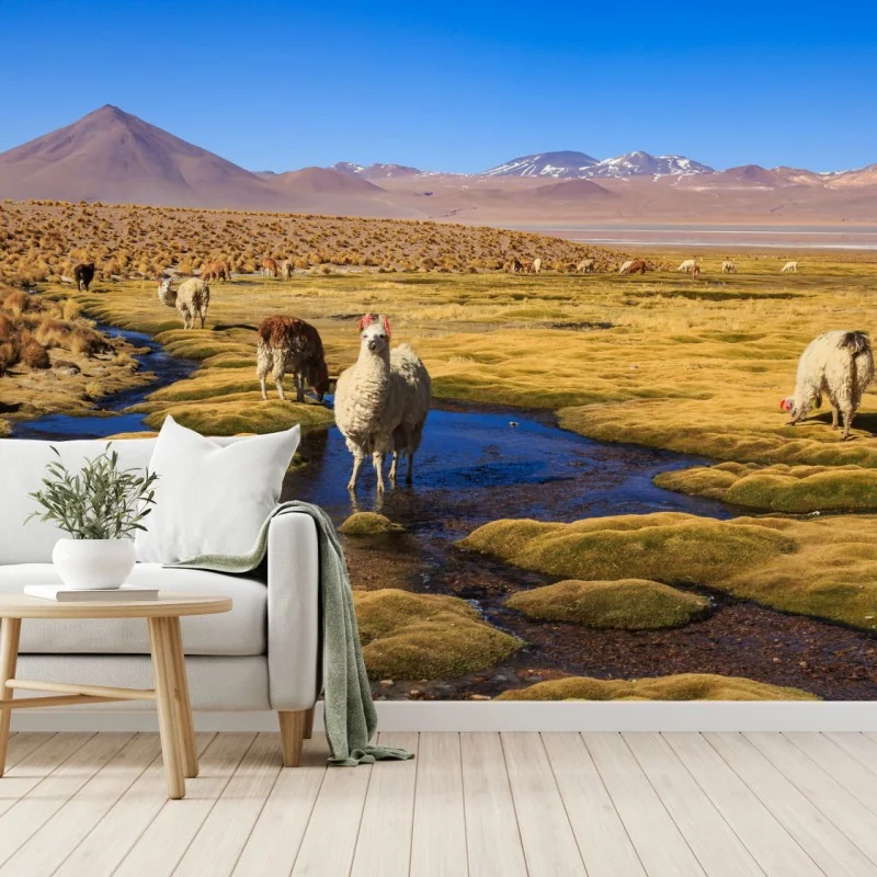 Fototapete lama auf dem altiplano der Anden