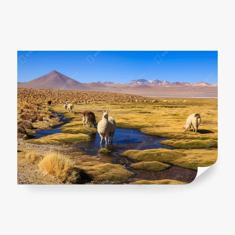 Fototapete sonnenblumenstrauß auf schwarzem hintergrund – Wallnifity®