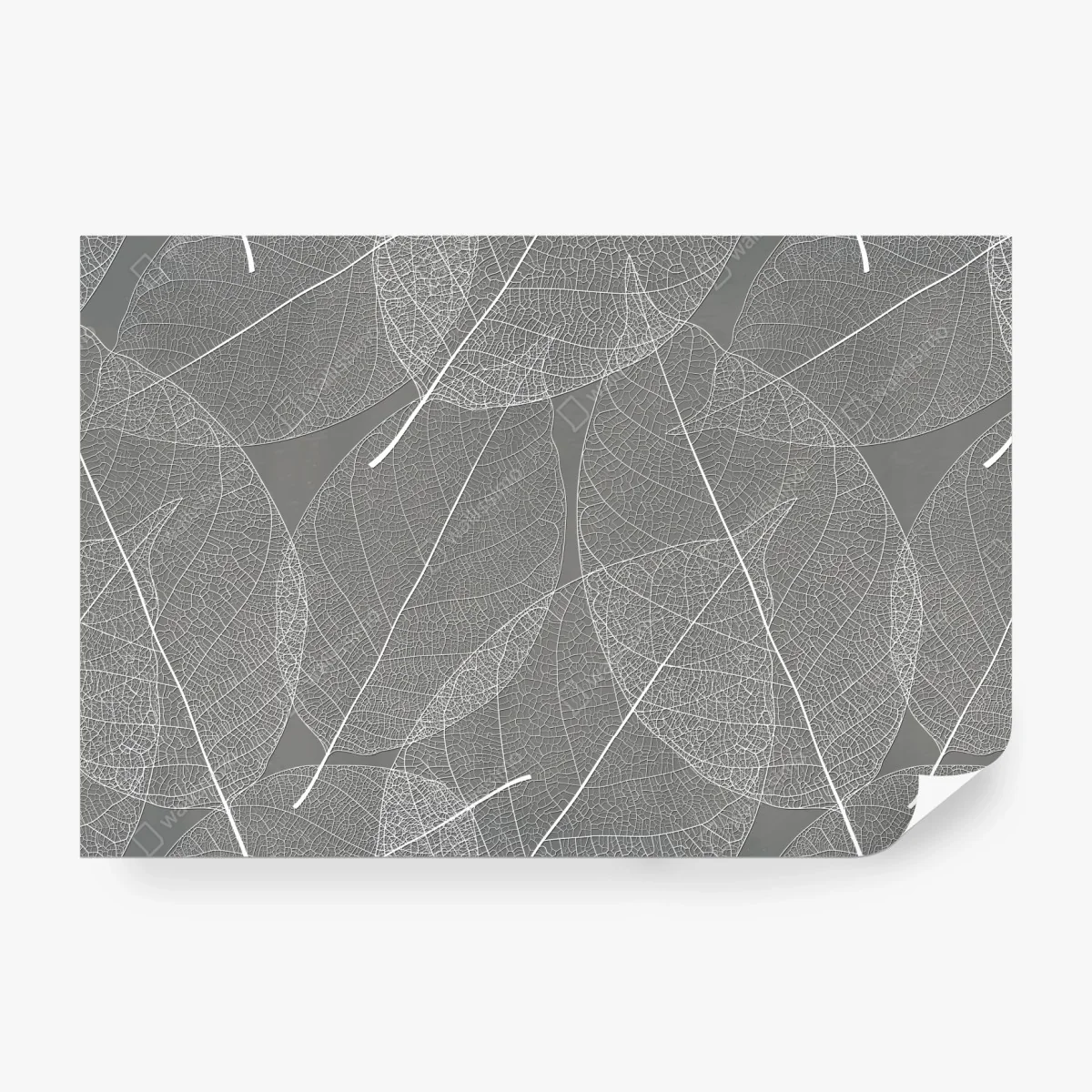 Fototapete feines blattadern-muster in grautönen – Wallnifity® Fototapete feines blattadern-muster in grautönen – Wallnifity®