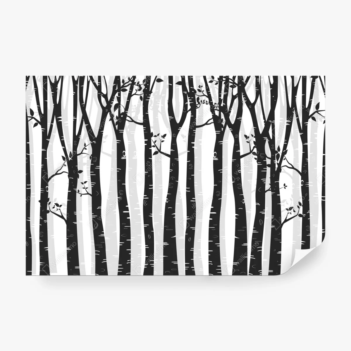 Fototapete monochromatischer birkenwald – Wallnifity® Fototapete monochromatischer birkenwald – Wallnifity®