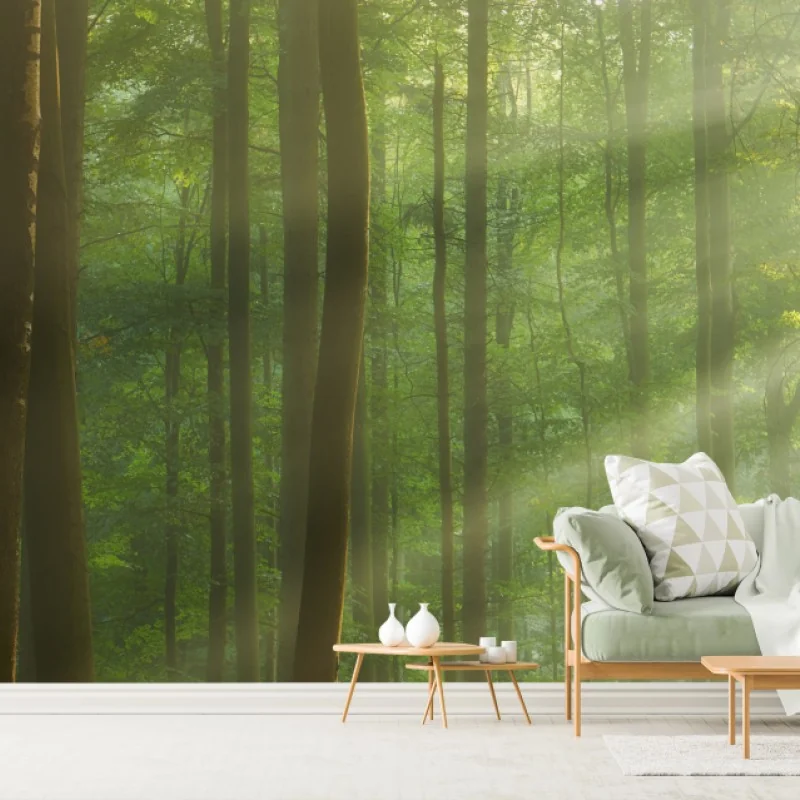 Fototapete sonniger morgenwald