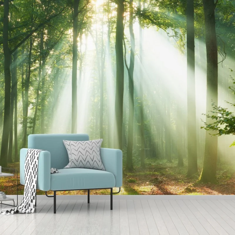 Fototapete morgendliches licht im wald