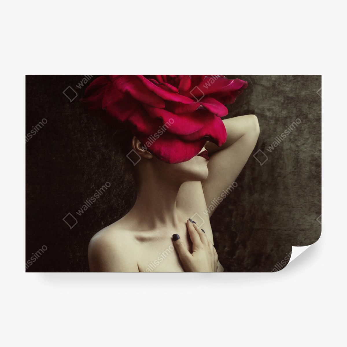 Fototapete frau mit rosenkopf surreales blumenporträt – Wallnifity® Fototapete frau mit rosenkopf surreales blumenporträt – Wallnifity®