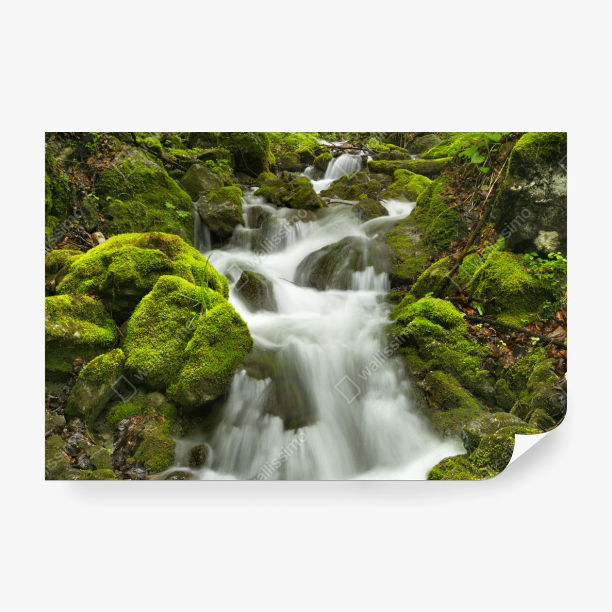 Fototapete moosiger wasserfall – Wallnifity® Fototapete moosiger wasserfall – Wallnifity®