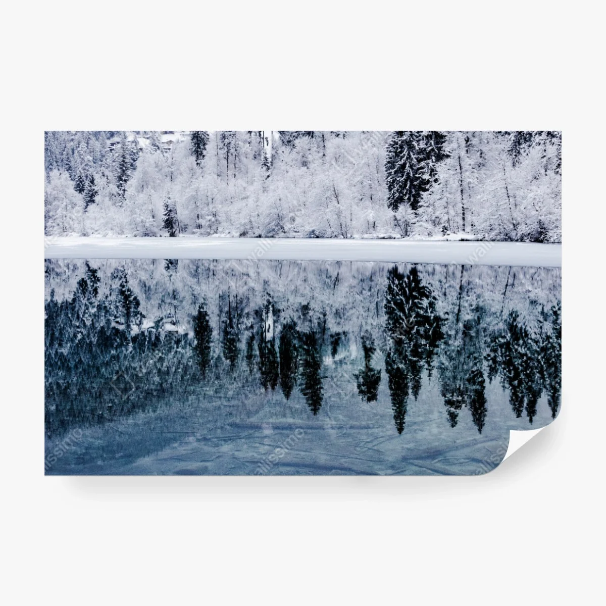 Fototapete winterlicher see mit spiegelung im verschneiten wald – Wallnifity® Fototapete winterlicher see mit spiegelung im verschneiten wald – Wallnifity®