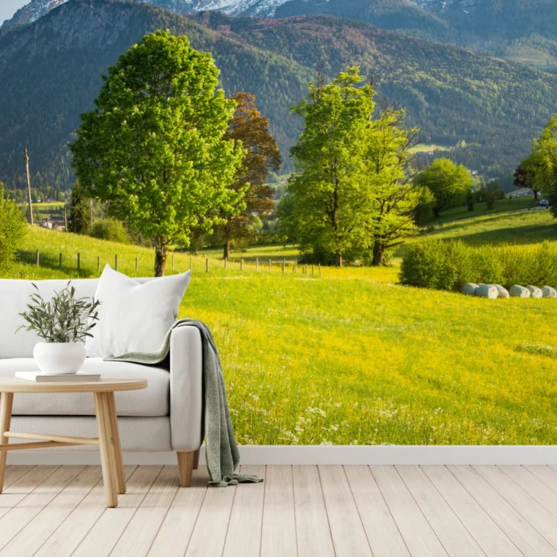 Fototapete alpine frühlingswiese unter schneebedeckten gipfeln