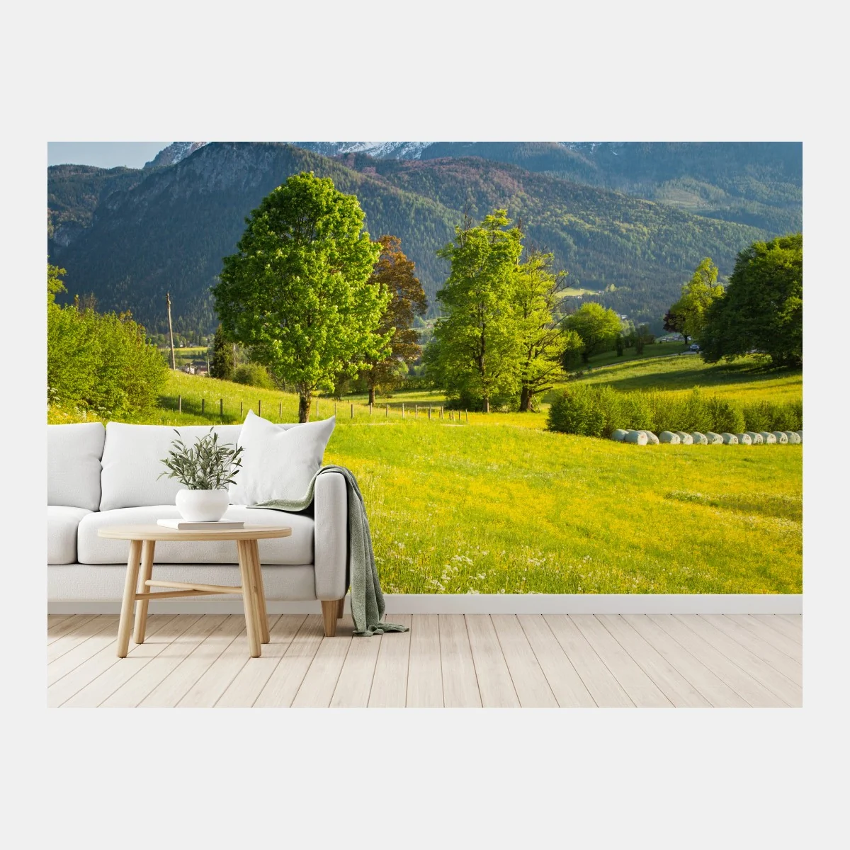 Fototapete alpine frühlingswiese unter schneebedeckten gipfeln – Wallnifity® Fototapete alpine frühlingswiese unter schneebedeckten gipfeln – Wallnifity®