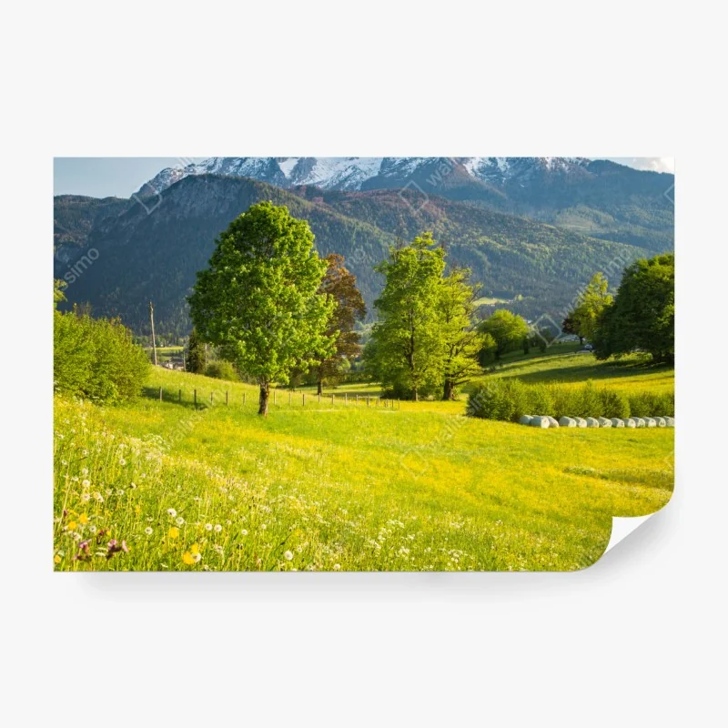 Fototapete goldenes lilienmuster auf dunklem hintergrund – Wallnifity®