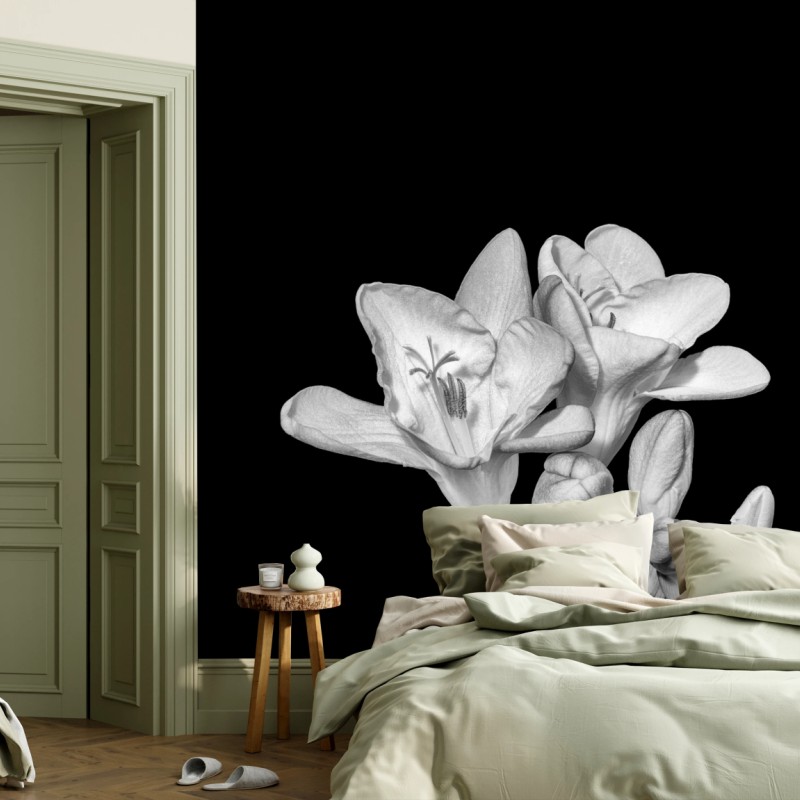 Fototapete zarte freesie in monochrom