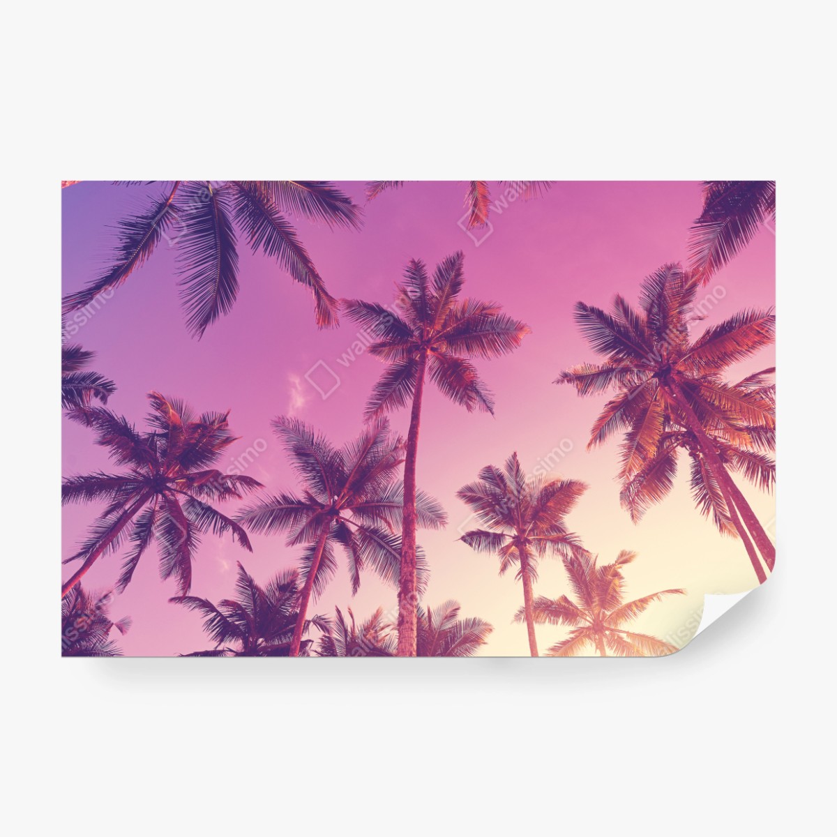 Fototapete tropische palmen beim sonnenuntergang – Wallnifity®