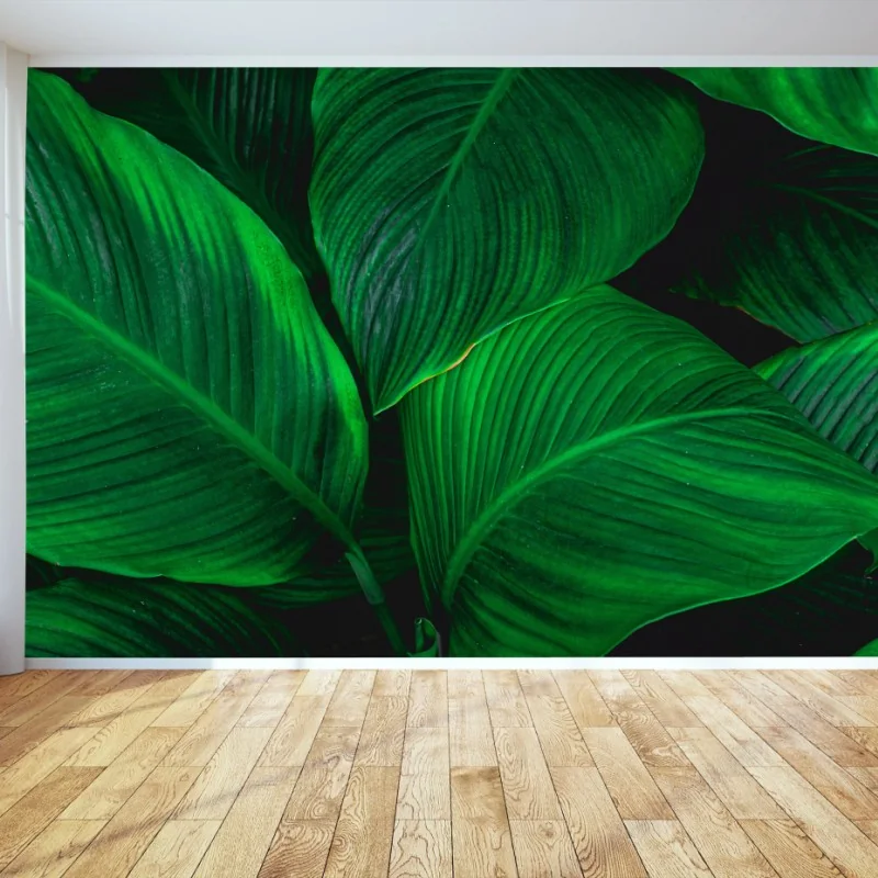 Fototapete üppige tropische blätter