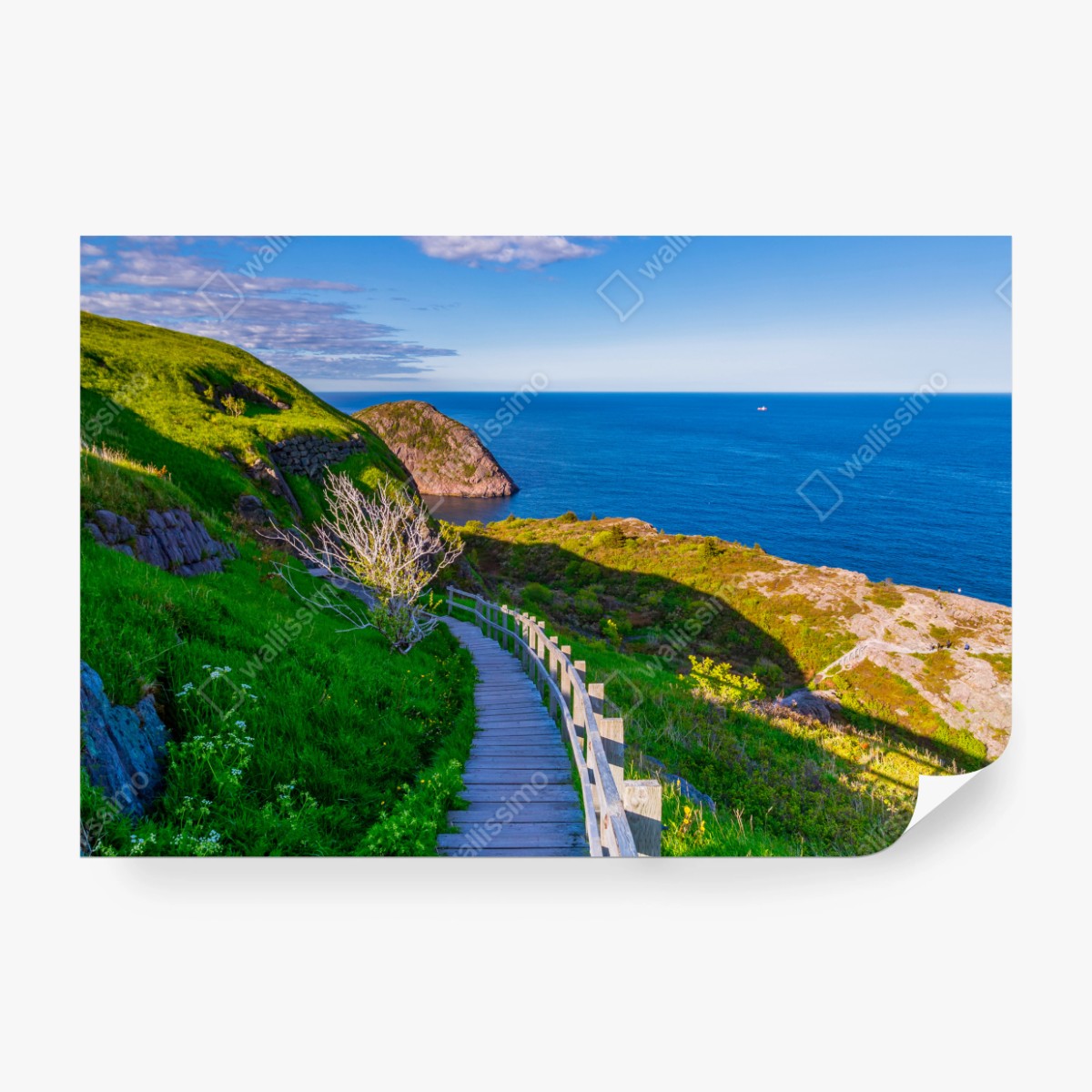 Fototapete küstenpfad mit blick auf das meer – Wallnifity®