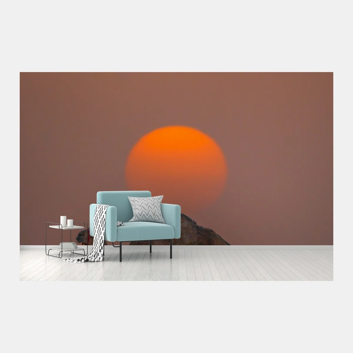 Fototapete kamel vor sonnenuntergang in der wüste – Wallnifity® Fototapete kamel vor sonnenuntergang in der wüste – Wallnifity®