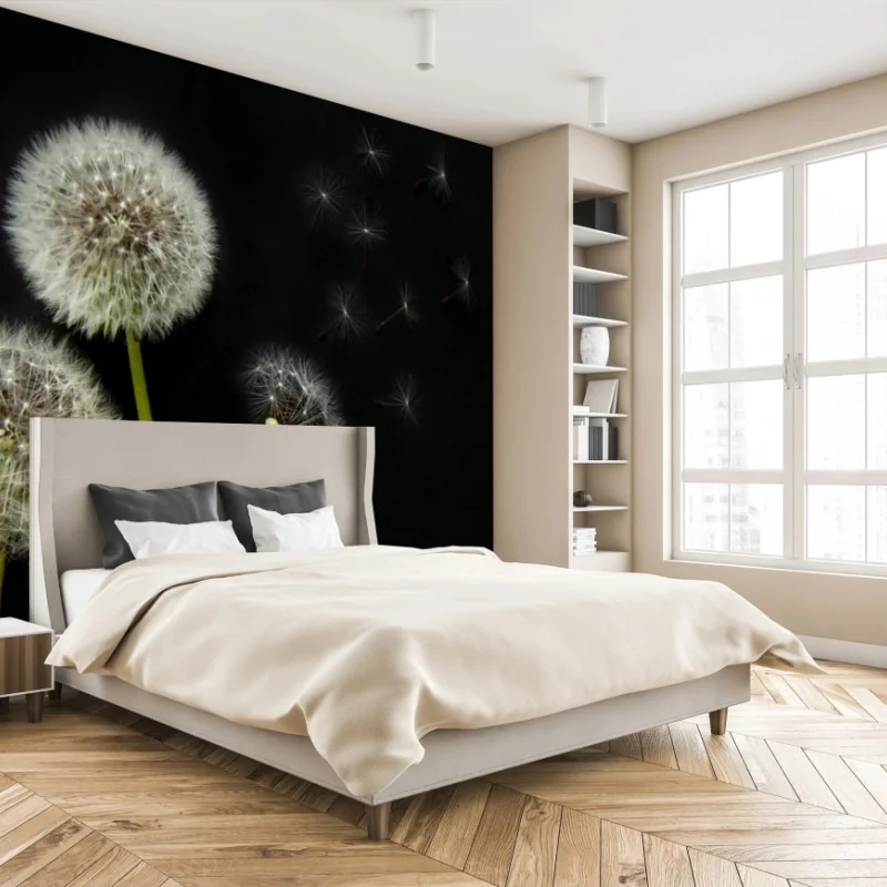 Fototapete zarte löwenzahnköpfe vor schwarzem hintergrund