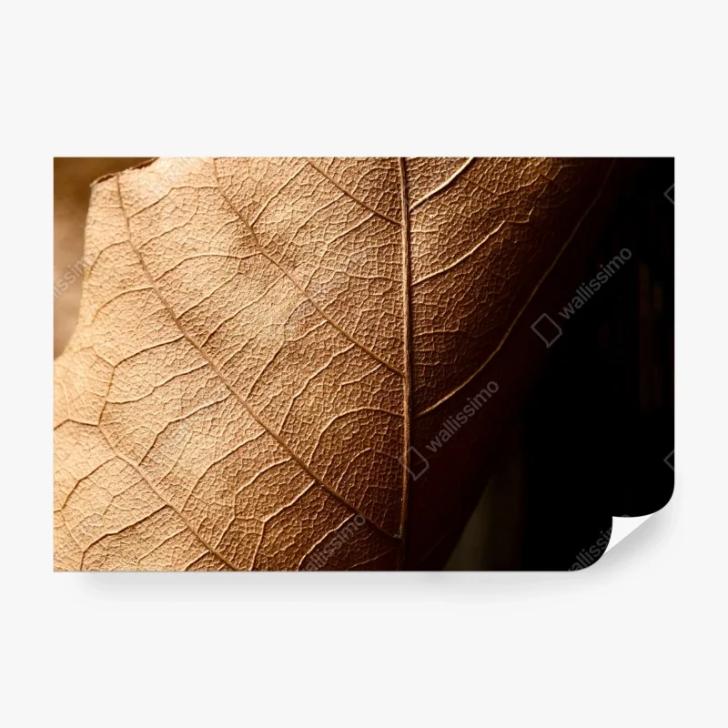 Fototapete tropischer sonnenuntergang mit palmensilhouetten, Dominikanische Republik – Wallnifity®