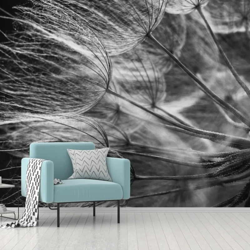 Fototapete zarter löwenzahn in monochrom