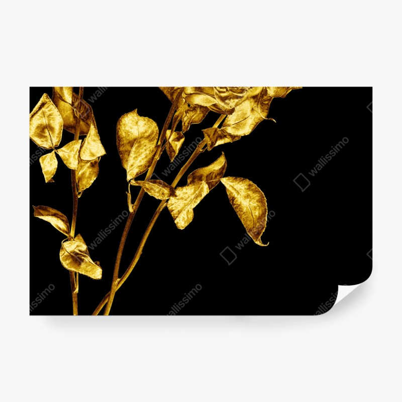 Fototapete goldene rosen vor schwarzem hintergrund