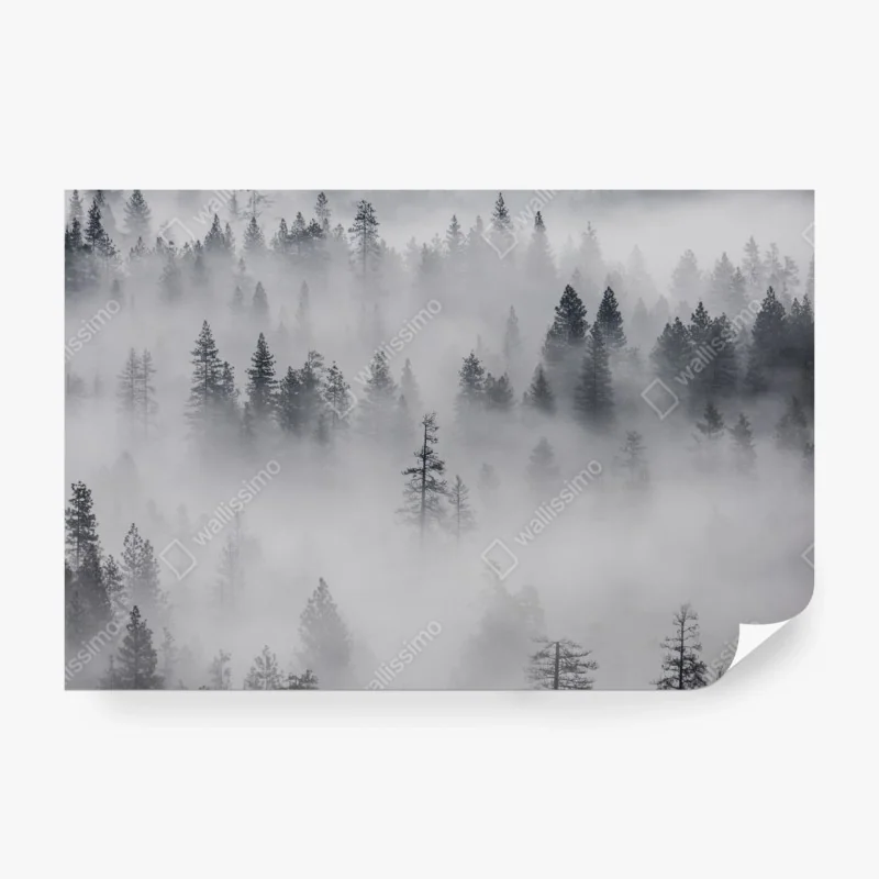 Fototapete zwei pferde auf einem nebligen hügel, Färöer-Inseln – Wallnifity®