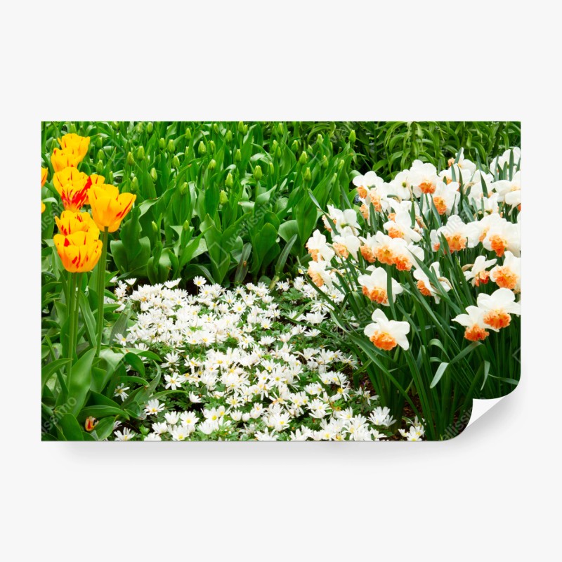 Fototapete üppige tropische blätter – Wallnifity®