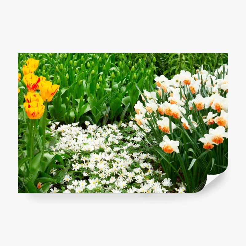 Fototapete düsteres grizzly-porträt in monochrom – Wallnifity®