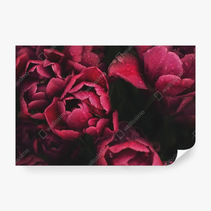 Fototapete La Défense skyline bei dämmerung – Wallnifity®