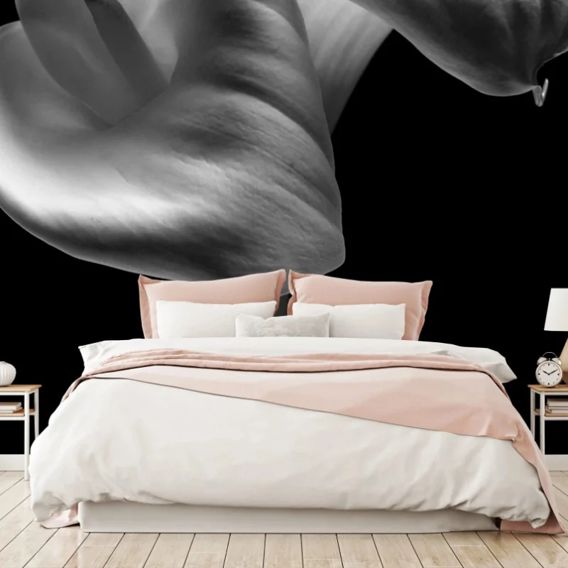 Fototapete elegante calla-blüten in monochrom