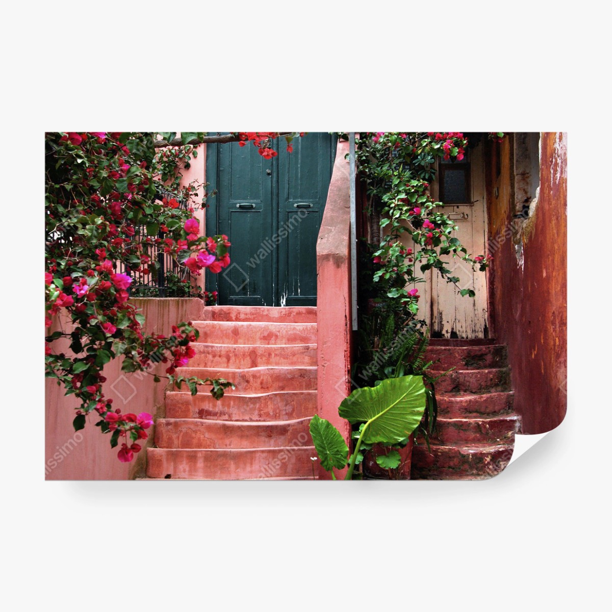 Fototapete treppe mit bougainvillea und grünen pflanzen – Wallnifity® Fototapete treppe mit bougainvillea und grünen pflanzen – Wallnifity®