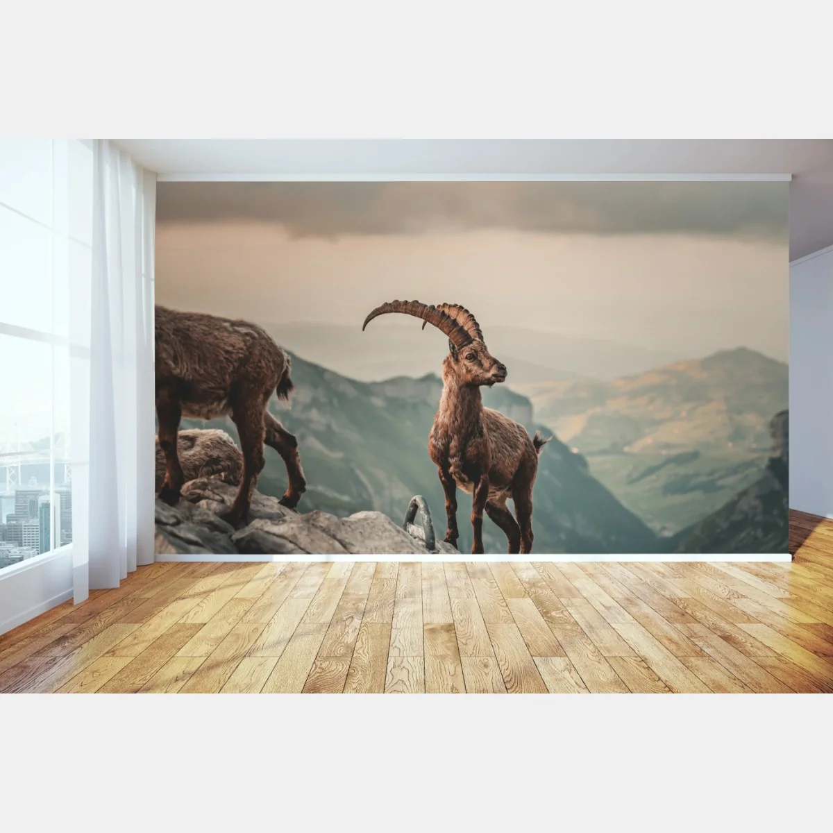 Fototapete alpensteinbock auf felsigem kamm – Wallnifity® Fototapete alpensteinbock auf felsigem kamm – Wallnifity®