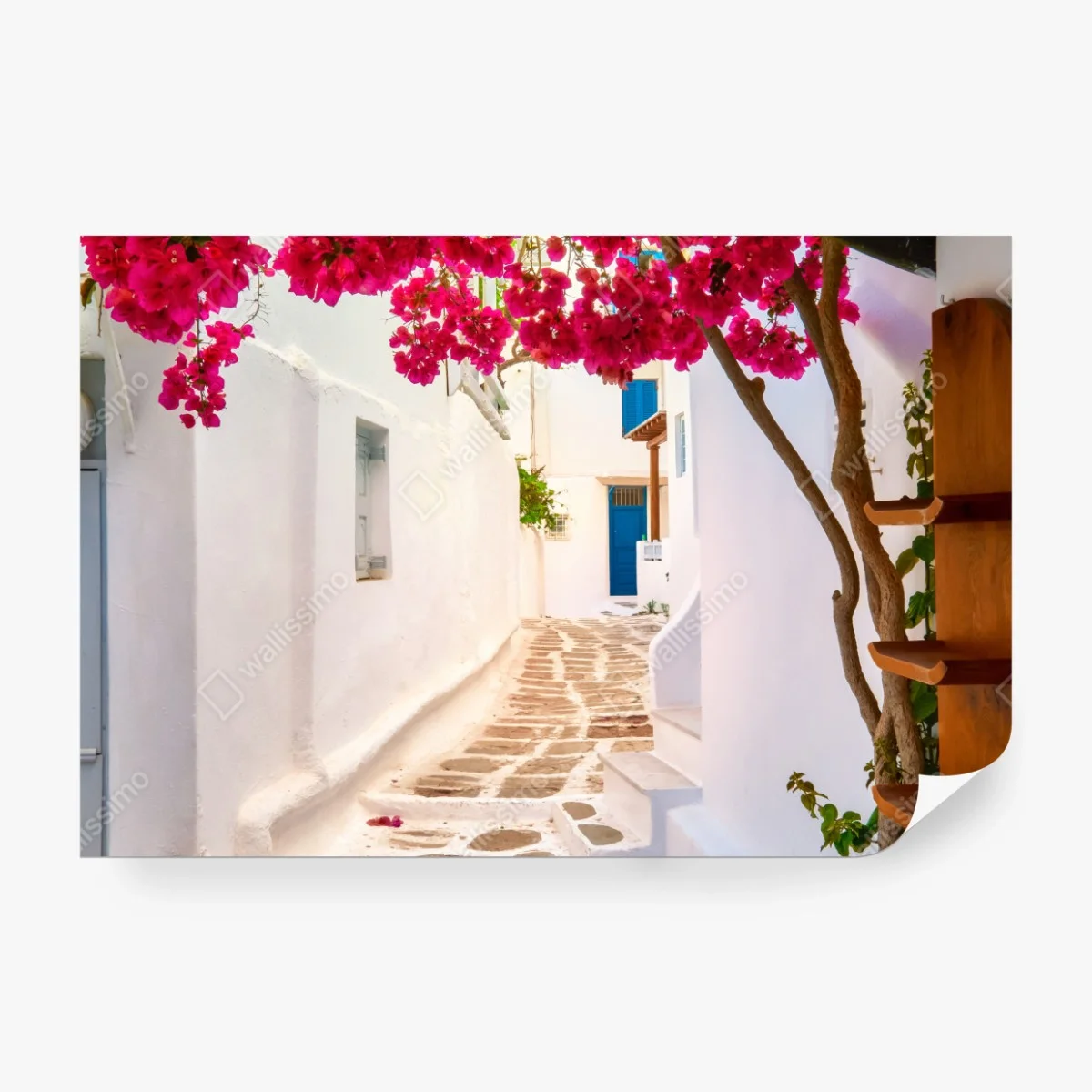 Fototapete sonnige gasse in Griechenland mit bougainvillea – Wallnifity®