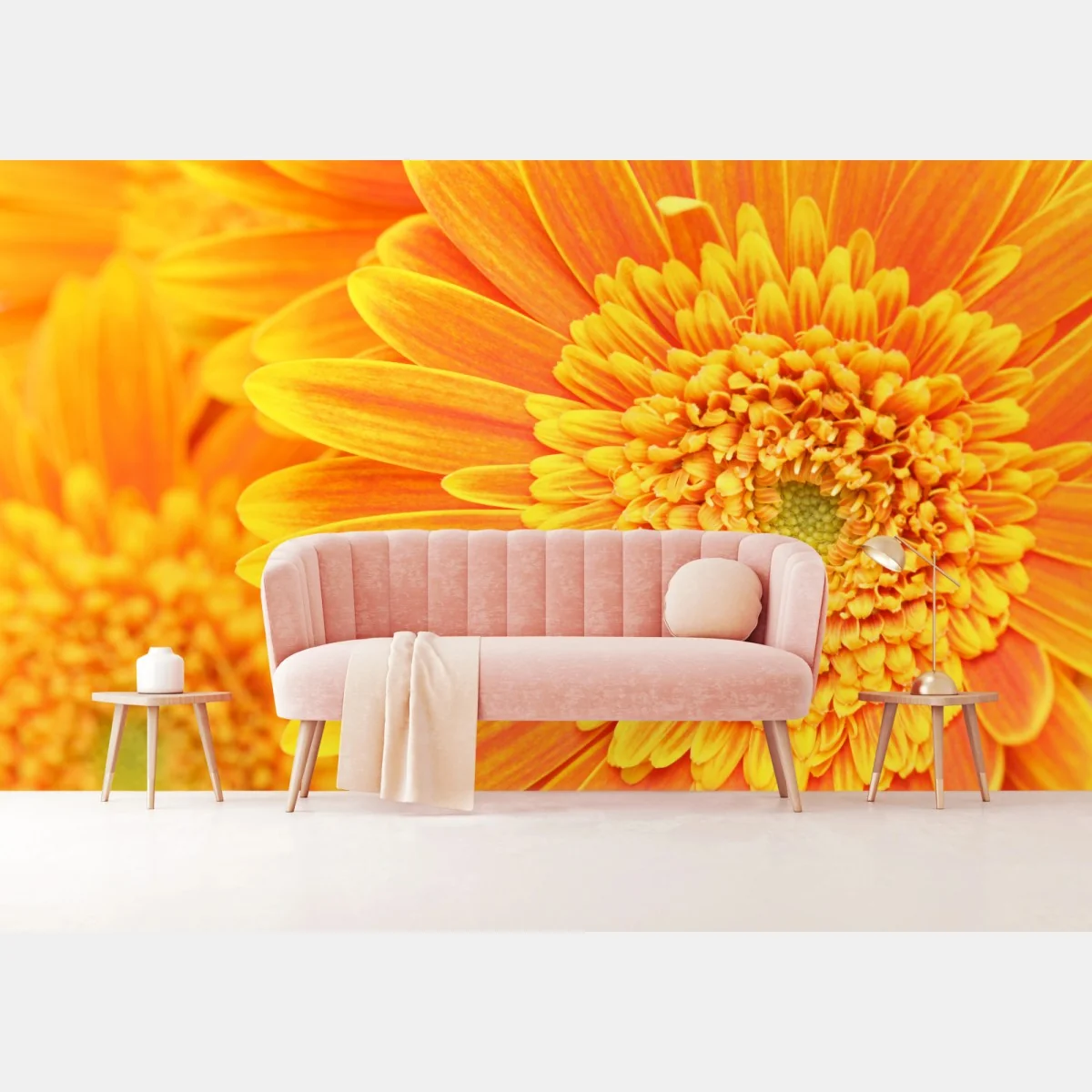 Fototapete leuchtende orange gerbera in makro – Wallnifity® Fototapete leuchtende orange gerbera in makro – Wallnifity®