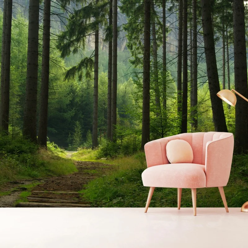 Fototapete ruhiger waldpfad – Wallnifity® Fototapete ruhiger waldpfad – Wallnifity®