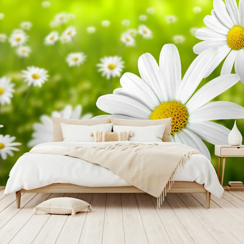 Fototapete weiße gänseblümchen auf der wiese