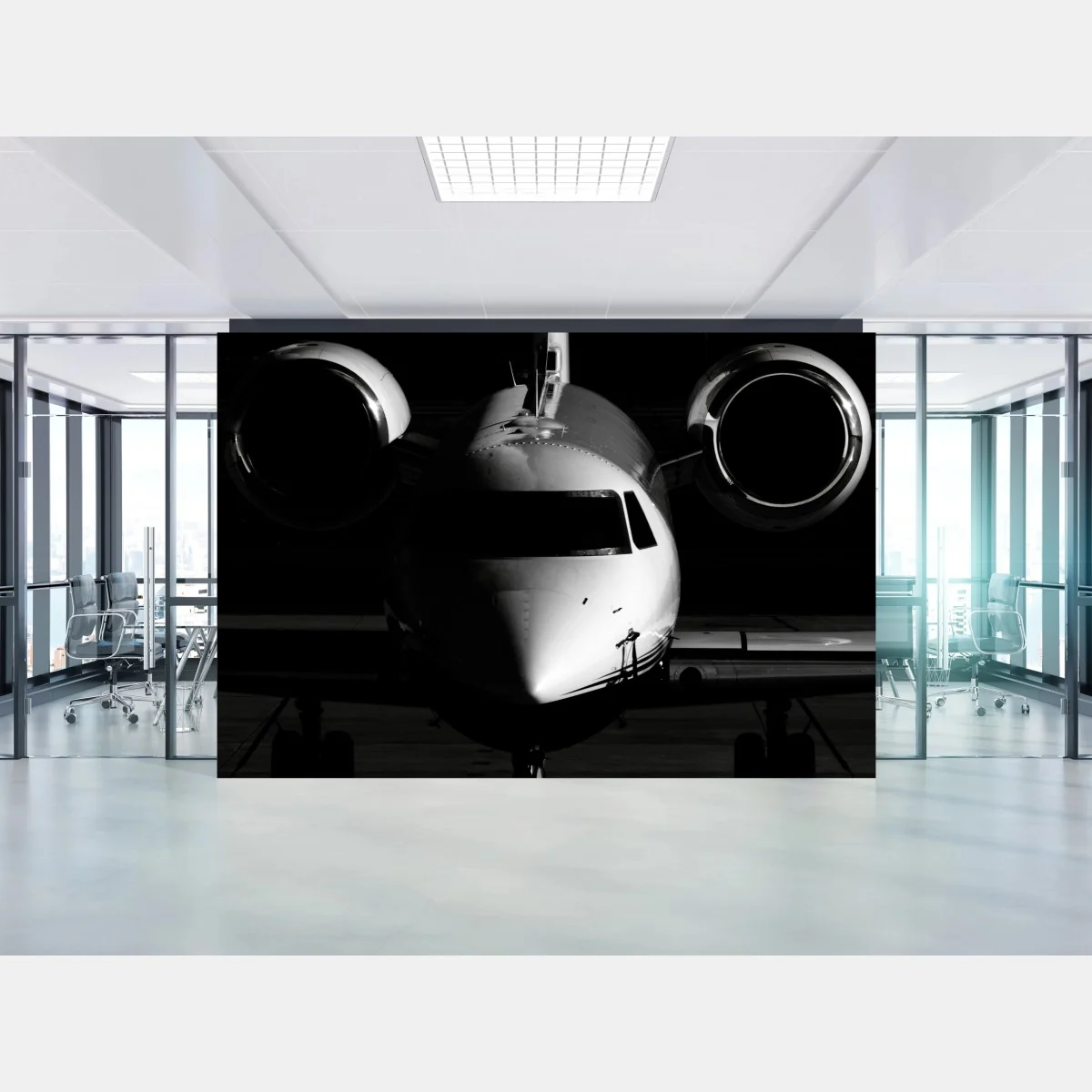 Fototapete monochrome frontalansicht eines privatjets – Wallnifity®