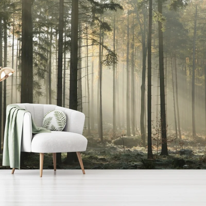 Fototapete nebliger morgenwald mit sonnenstrahlen – Wallnifity® Fototapete nebliger morgenwald mit sonnenstrahlen – Wallnifity®