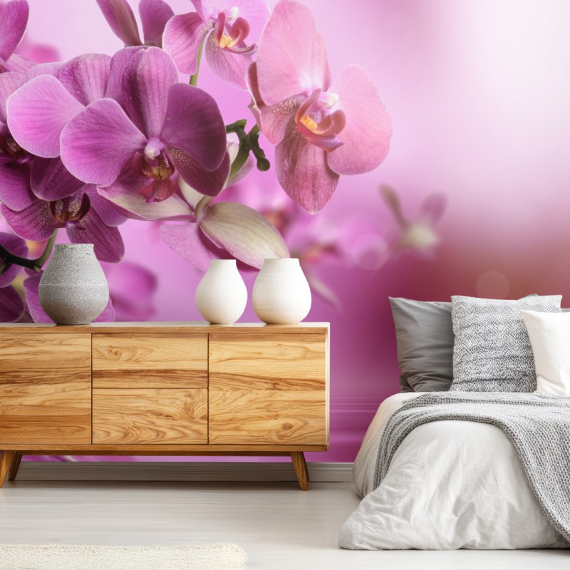 Fototapete rosa orchideen spiegelung