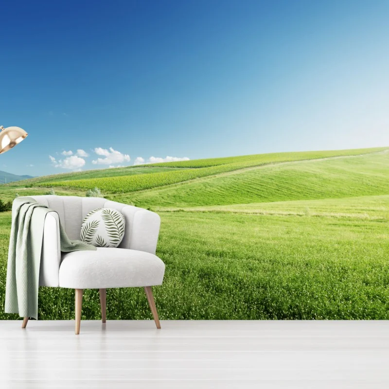 Fototapete ruhige grüne wiesenlandschaft