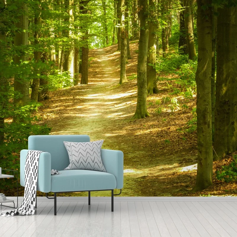 Fototapete sonniger waldpfad