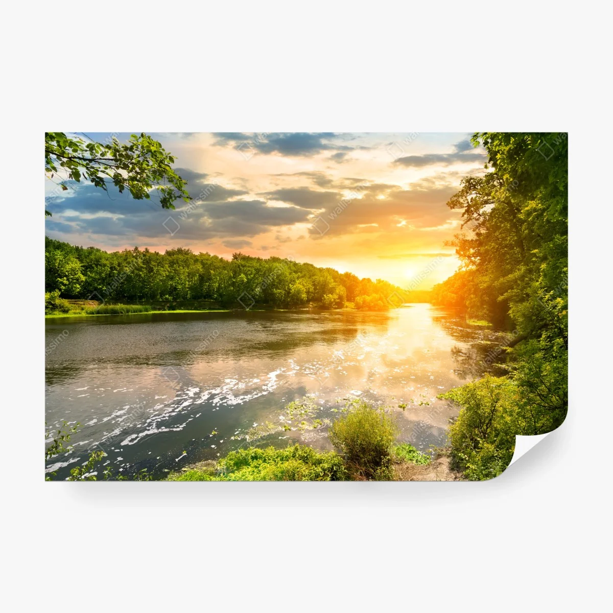 Fototapete ruhiger sonnenuntergang am fluss im grünen wald – Wallnifity® Fototapete ruhiger sonnenuntergang am fluss im grünen wald – Wallnifity®