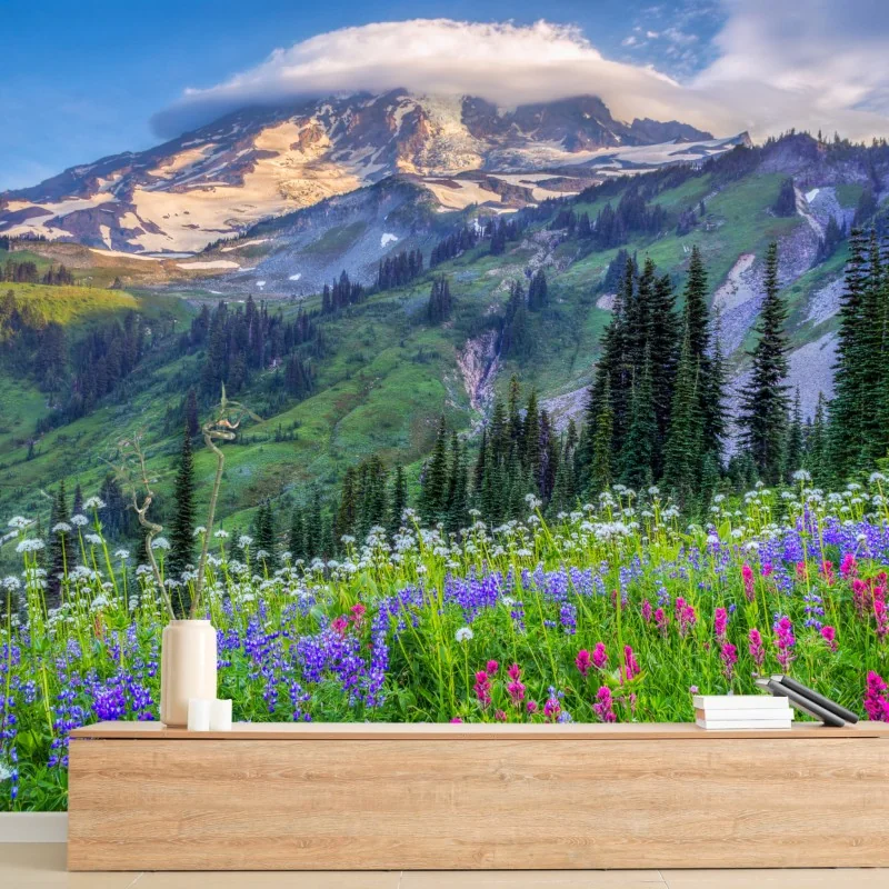 Fototapete alpine blumenwiese vor schneebedeckten bergen – Wallnifity®