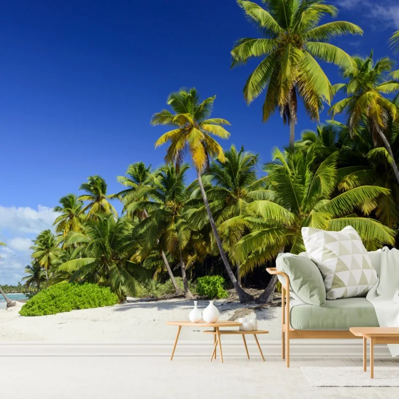 Fototapete ruhiger tropischer strand in Punta Cana – Wallnifity®