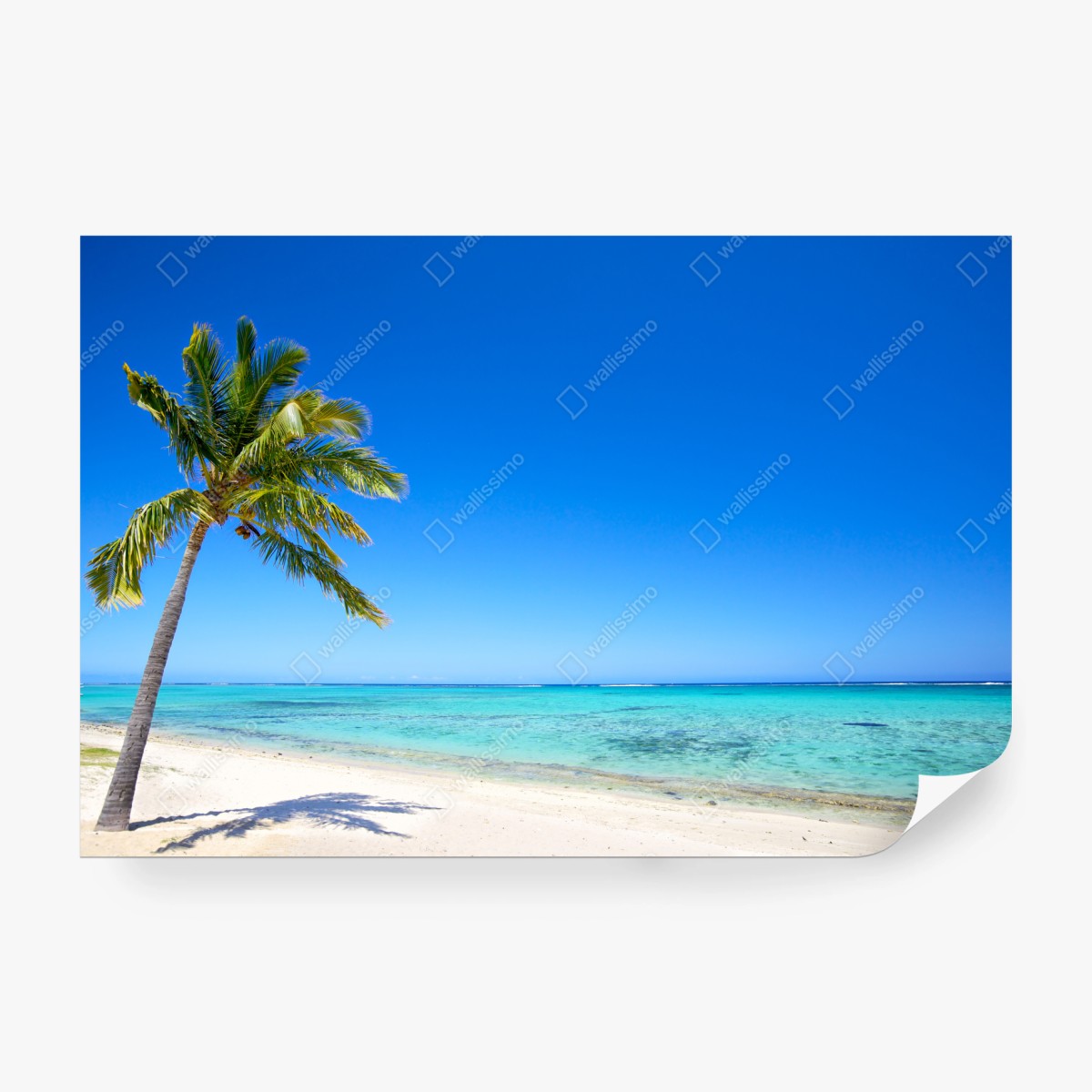 Fototapete tropischer traumstrand mit palme – Wallnifity® Fototapete tropischer traumstrand mit palme – Wallnifity®