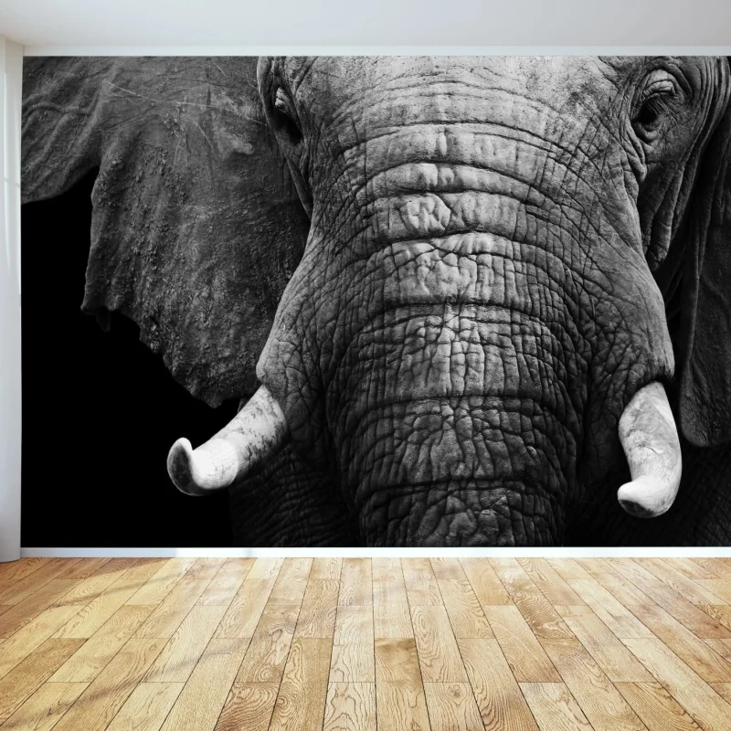 Fototapete majestätisches elefantenporträt – Wallnifity® Fototapete majestätisches elefantenporträt – Wallnifity®