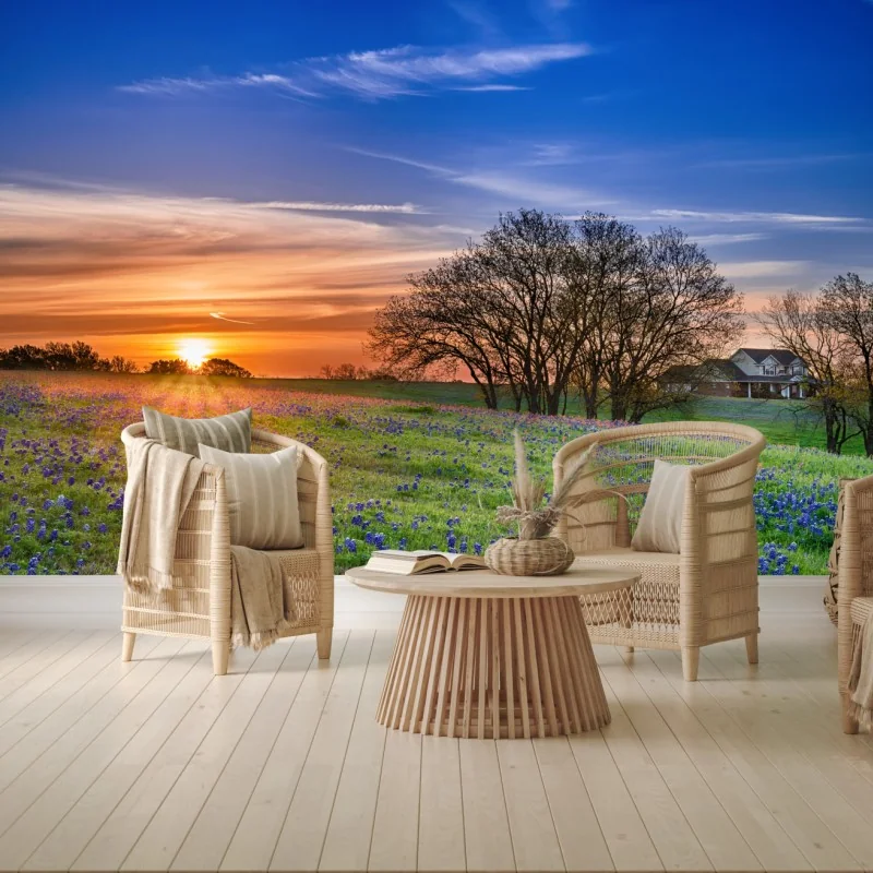 Fototapete Texas wiese mit bluebonnets im sonnenaufgang – Wallnifity® Fototapete Texas wiese mit bluebonnets im sonnenaufgang – Wallnifity®