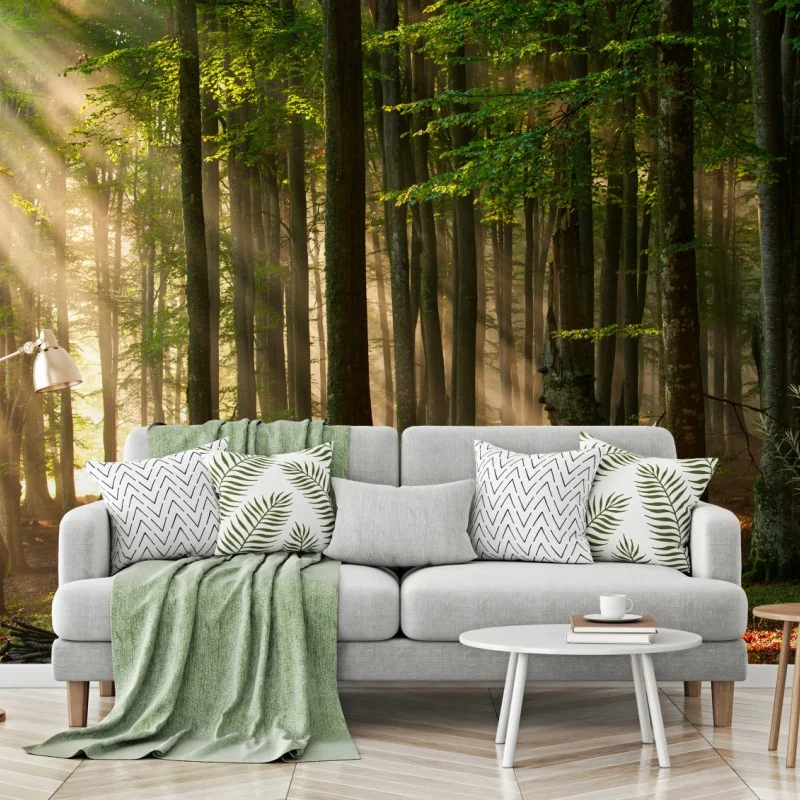 Fototapete morgendliches licht im buchenwald – Wallnifity® Fototapete morgendliches licht im buchenwald – Wallnifity®