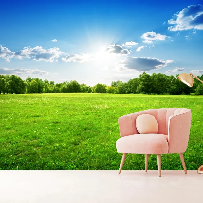 Fototapete sonnige grüne wiese