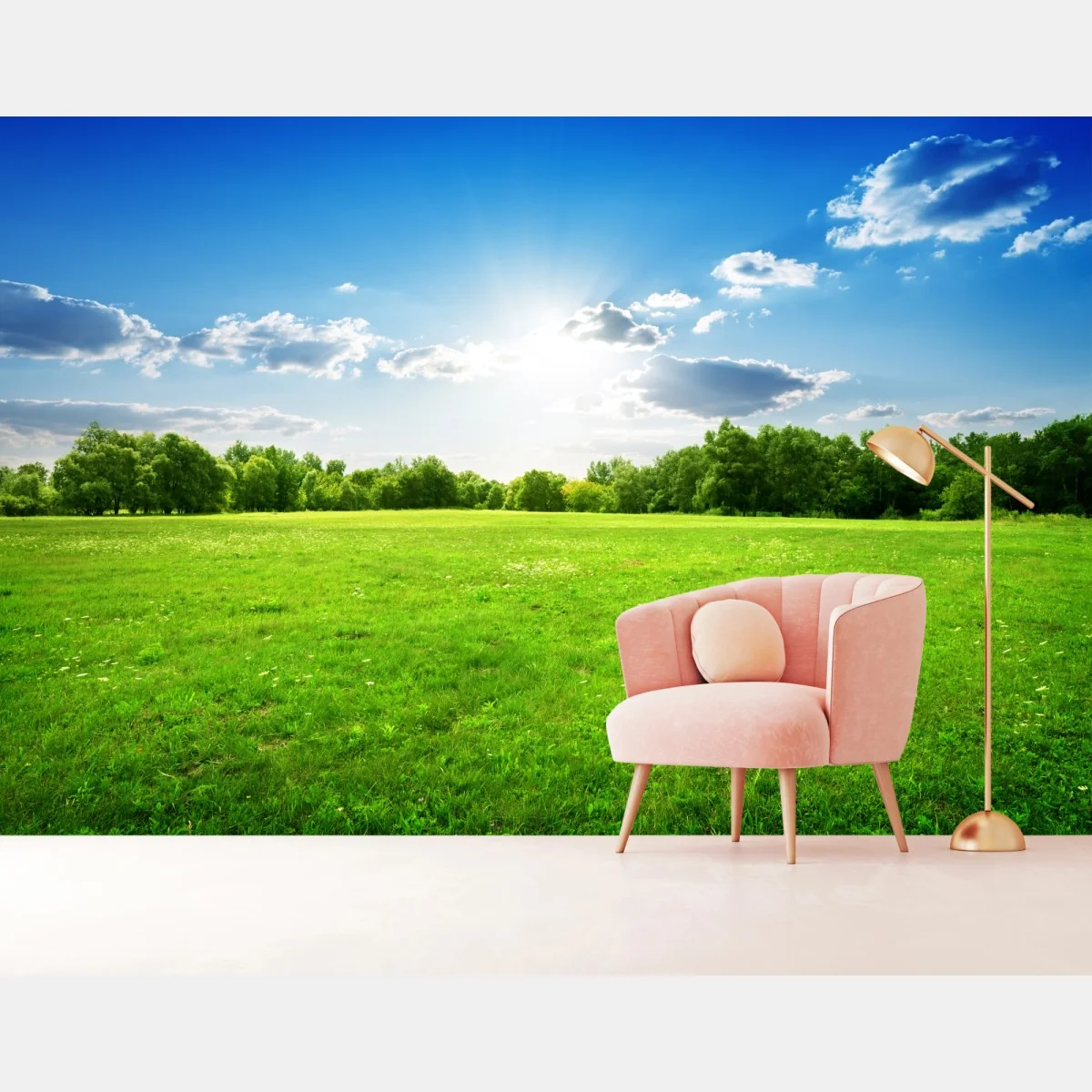 Fototapete sonnige grüne wiese – Wallnifity®