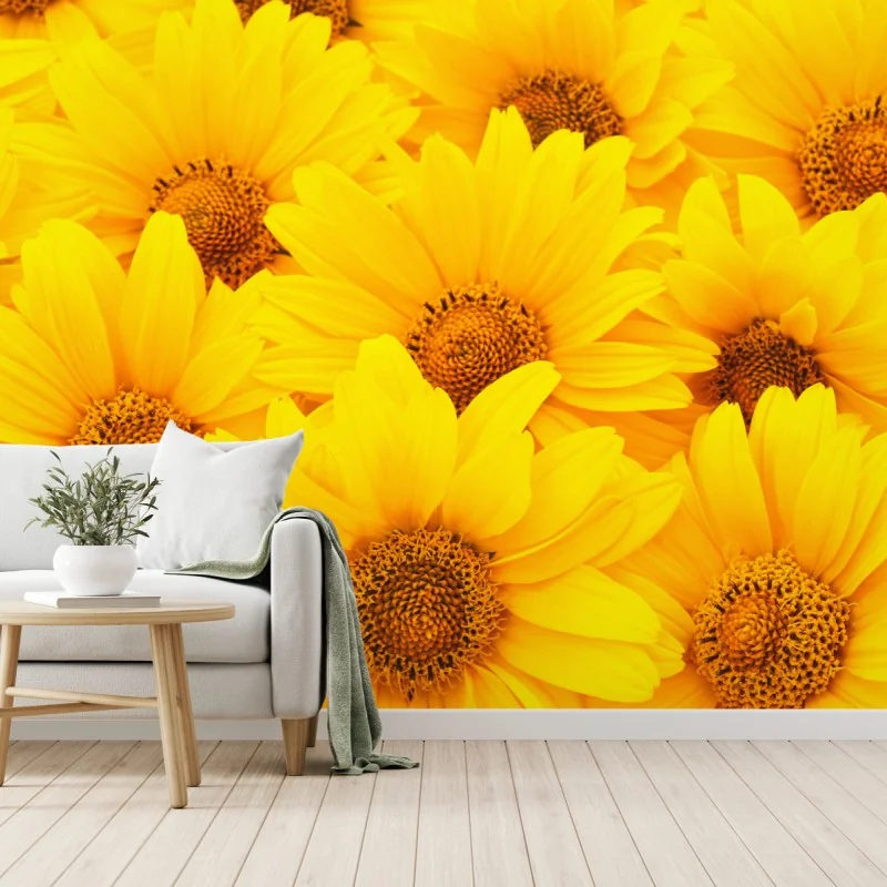 Fototapete leuchtende gelbe sonnenblumen in nahaufnahme