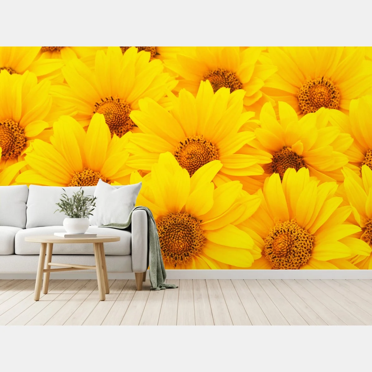 Fototapete leuchtende gelbe sonnenblumen in nahaufnahme – Wallnifity®