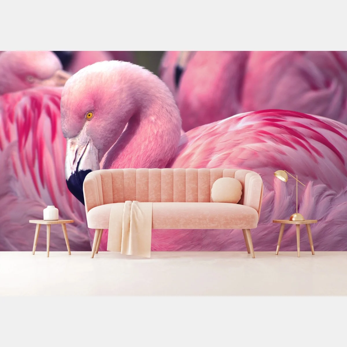 Fototapete rosa flamingo nahaufnahme – Wallnifity® Fototapete rosa flamingo nahaufnahme – Wallnifity®